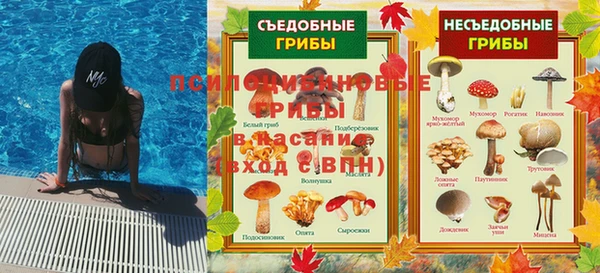 спиды Волоколамск