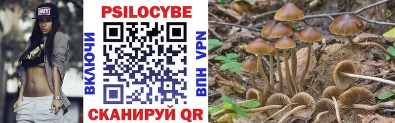 Галлюциногенные грибы мухоморы  наркотики  Люберцы 