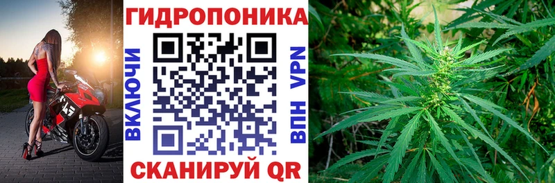 Каннабис план  магазин    Люберцы 